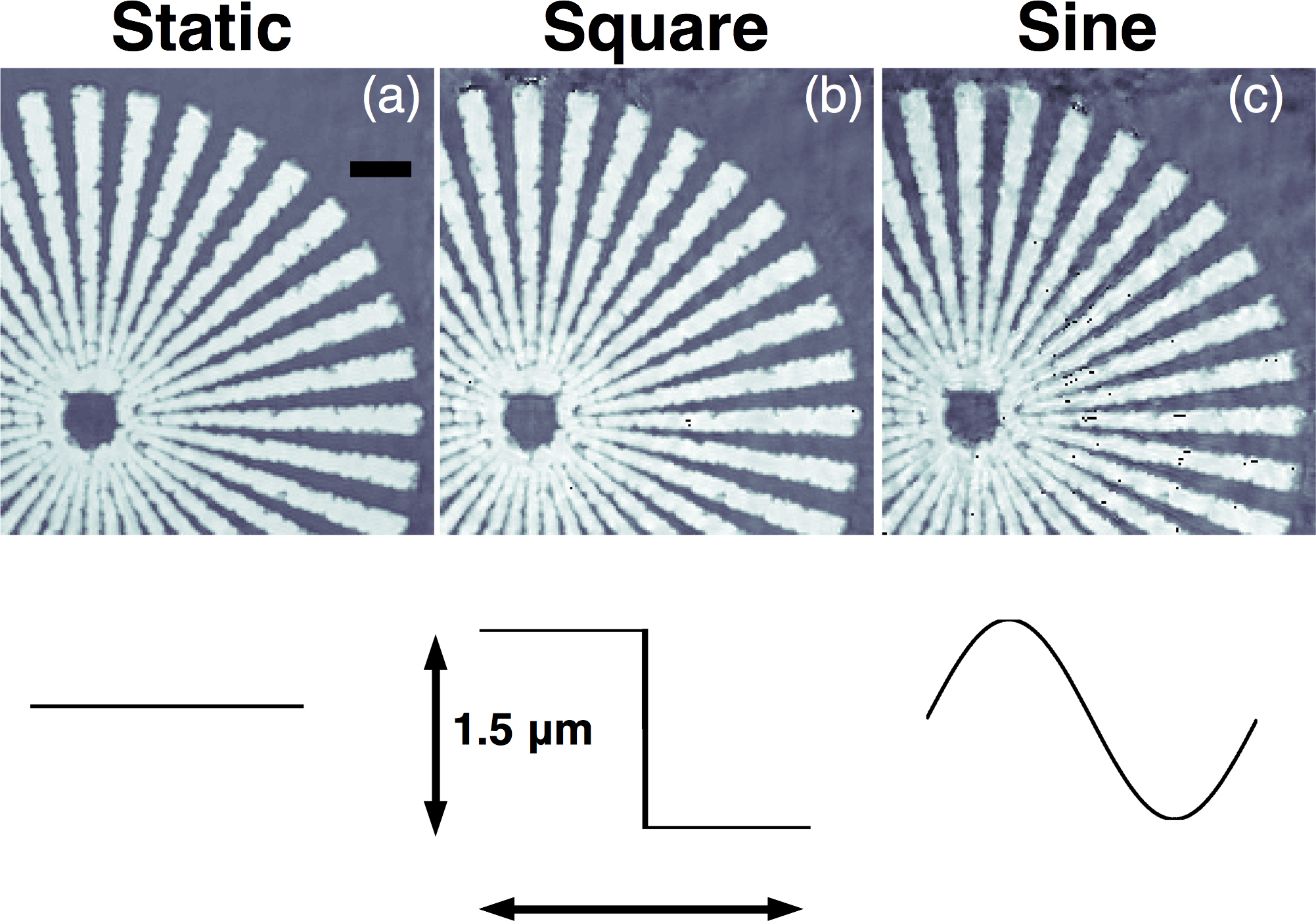 Imaging Vibrations without the Blur Advanced Photon Source